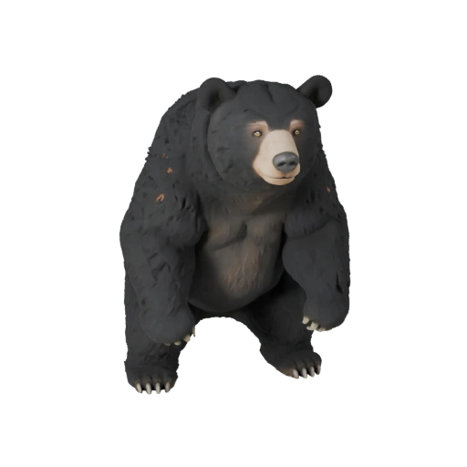 Black Bear 3D Model for Blender - PBR Asset with Textures | PBR