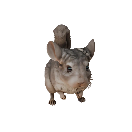 Realistic Chinchilla 3D Model - Rigged PBR Asset for Games