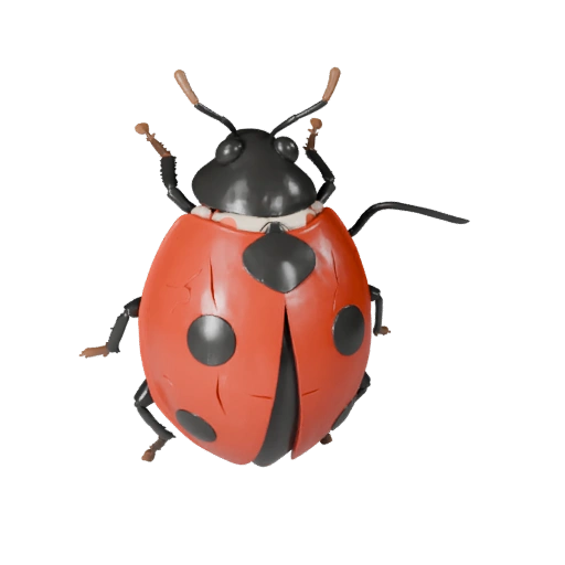 Ladybug 3D Model for Blender - PBR Asset with Textures | PBR