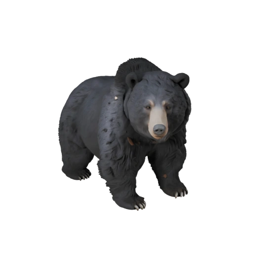 Black Bear 3D Model for Unity - Game Ready Asset, FBX | Royalty-Free