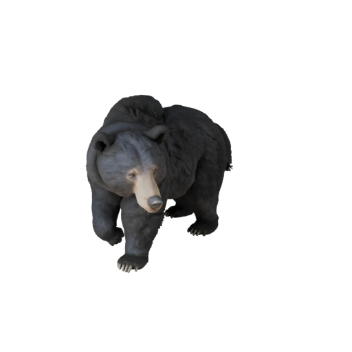 Realistic Black Bear 3D Model - Rigged PBR Asset for Games