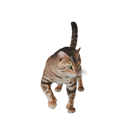 Hohe Poly Bengal Katze 3D Modell - Detailliertes STL Asset für den Druck