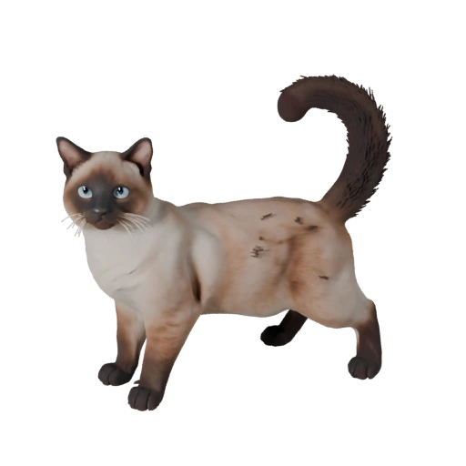 Realistische Birmanische Katze 3D-Modell - Rigged PBR Asset für Spiele