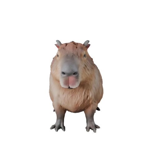 Modèle 3D Capybara Réaliste - Asset PBR Riggué pour Jeux | PBR