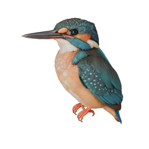 Realistic Kingfisher 3D Model - Rigged PBR Asset for Games