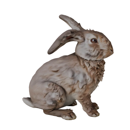 Realistic Rabbit 3D Model - Rigged PBR Asset for Games | PBR
