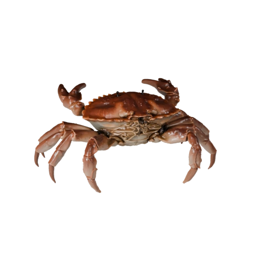 Crab 3D Model for Unity - Game Ready Asset, FBX | Royalty-Free