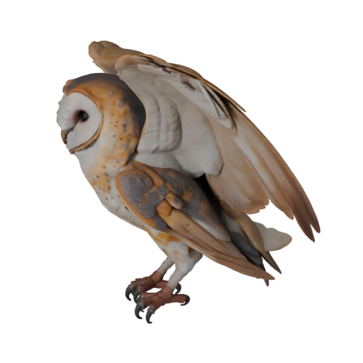Barn Owl 3D Model for Unity - Game Ready Asset, FBX | Royalty-Free