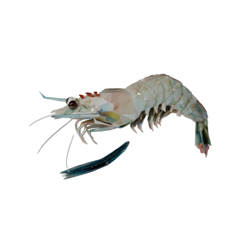 Low Poly Shrimp 3D Model - Unity Game Asset with FBX | Royalty-Free