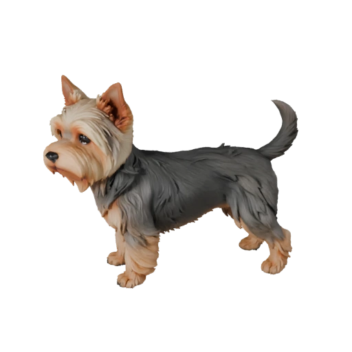 Modelo 3D de Cão Yorkshire Terrier Baixo Poli - Asset de Jogo Unity com FBX