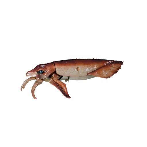 Low Poly Squid 3D Model - Unity Game Asset with FBX | Royalty-Free