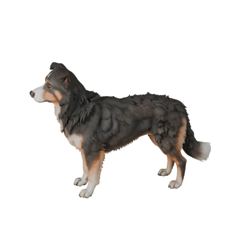 Realistischer Border Collie Hund 3D-Modell - Rigged PBR Asset für Spiele