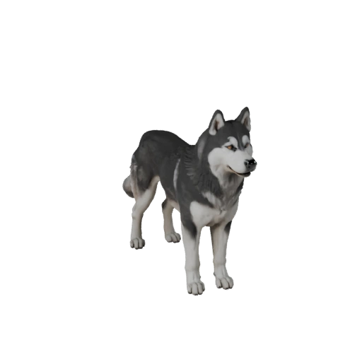 Siberian Husky Hund 3D Modell für Blender - PBR Asset mit Texturen