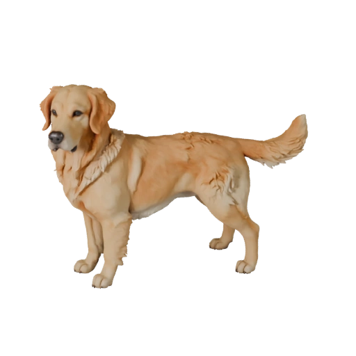 Golden Retriever Dog 3D Model for Blender - PBR Asset with Textures