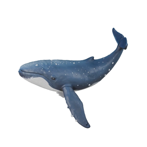 Cartoon Humpback Whale 3D Model - Stylized Asset for Animation