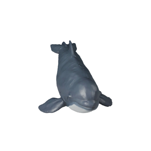 Modelo 3D realista de beluga - Activo PBR rigged para juegos