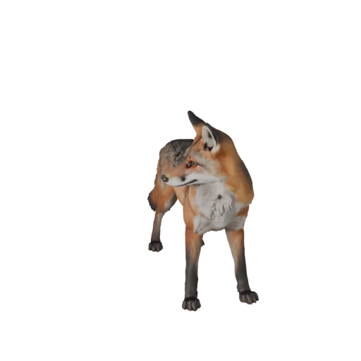Realistic Gray Fox 3D Model - Rigged PBR Asset for Games | PBR