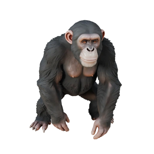 Modelo 3D Realista de Chimpancé - Activo PBR Riggeado para Juegos
