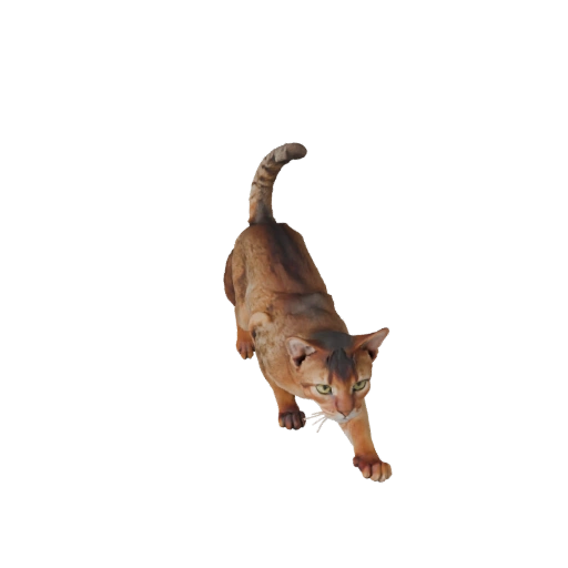 Modelo 3D Gato Abisinio para Unity - Asset Listo para Juego, FBX | PBR
