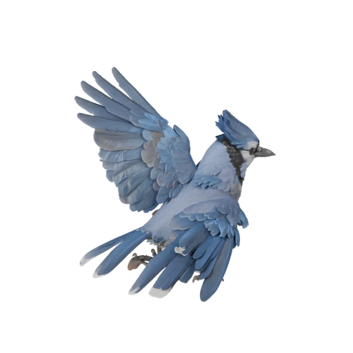 Modèle 3D de Geai Bleu pour Unity - Asset prêt pour le jeu, FBX | Libre de droits