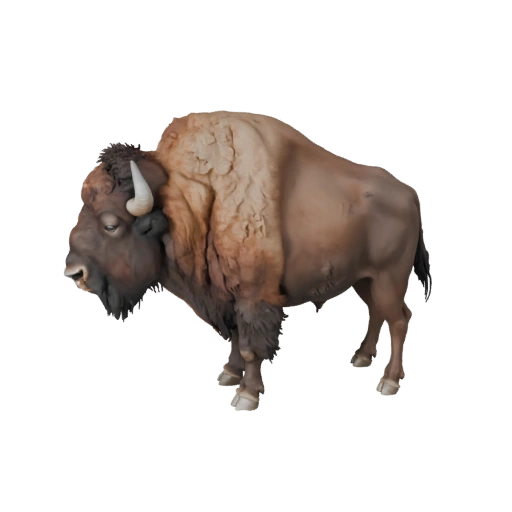 Realistic Bison 3D Model - Rigged PBR Asset for Games | Royalty-Free