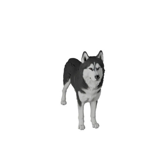 Realistischer Siberian Husky Hund 3D-Modell - Rigged PBR Asset für Spiele