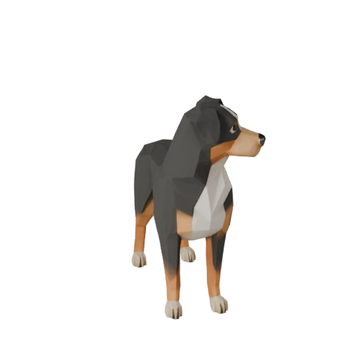 نموذج ثلاثي الأبعاد لكلب الراعي الأسترالي منخفض المضلع - أصل Unity مع FBX