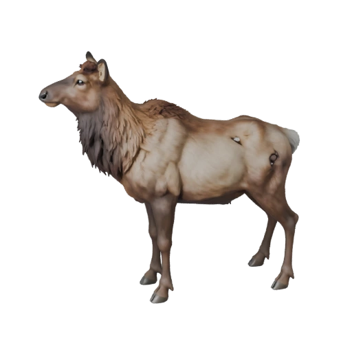 Elk 3D Model for Blender - PBR Asset with Textures | Royalty-Free