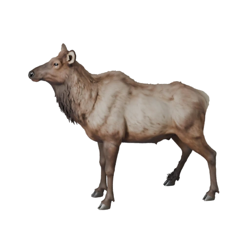 Realistic Elk 3D Model - Rigged PBR Asset for Games | Royalty-Free