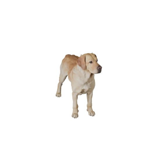 Labrador Retriever Dog 3D Model for Unity - Game Ready Asset, FBX