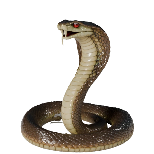 Modèle 3D Cobra Royal pour Unity - Actif prêt pour le jeu, FBX | Libre de droits