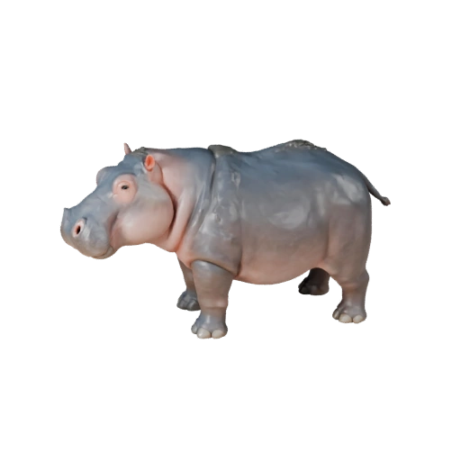 Hippo 3D Model for Unity - Game Ready Asset, FBX | Royalty-Free