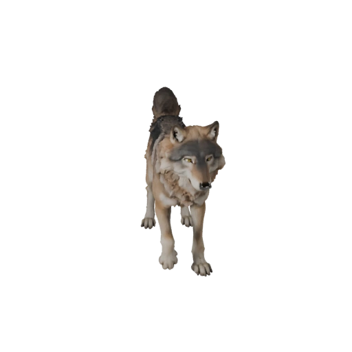 Realistic Wolf 3D Model - Rigged PBR Asset for Games | Royalty-Free