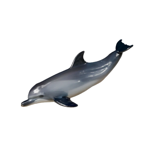 Realistic Dolphin 3D Model - Rigged PBR Asset for Games | PBR