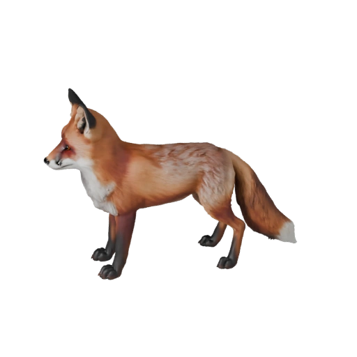 Realistic Red Fox 3D Model - Rigged PBR Asset for Games | PBR
