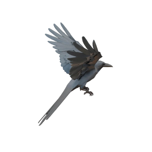 Low Poly Krähe 3D Modell - Unity Game Asset mit FBX | Lizenzfrei