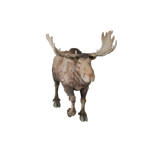 Moose 3D Model for Unity - Game Ready Asset, FBX | Royalty-Free