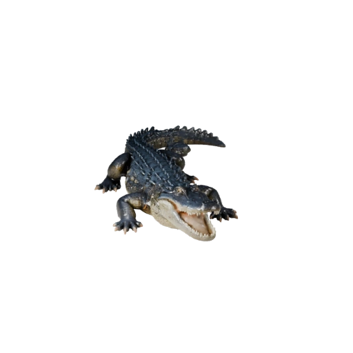 Modèle 3D d'Alligator Haute Poly - Atout STL Détaillé pour Impression