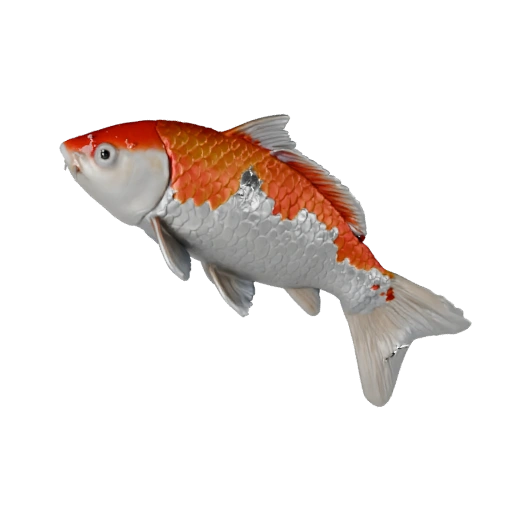Modelo 3D Realista de Peixe Koi - Asset PBR Rigged para Jogos | PBR