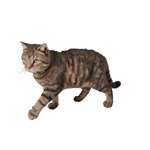 Modèle 3D réaliste de chat Ragdoll - Actif PBR riggé pour jeux