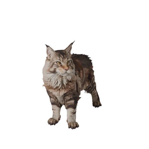 Realistic Maine Coon 3D Model - Rigged PBR Asset for Games