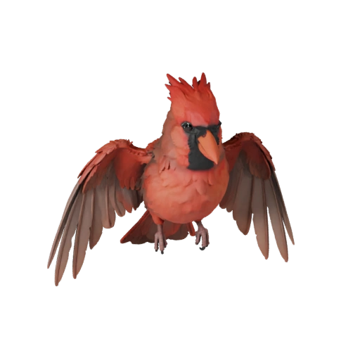 Modèle 3D de Cardinal Réaliste - Actif PBR Riggué pour Jeux | PBR