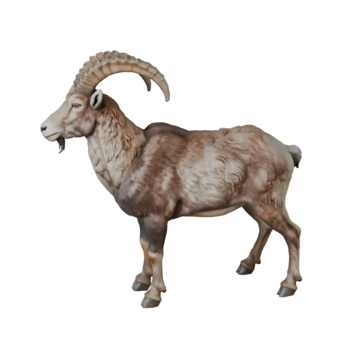 Realistic Ibex 3D Model - Rigged PBR Asset for Games | Royalty-Free