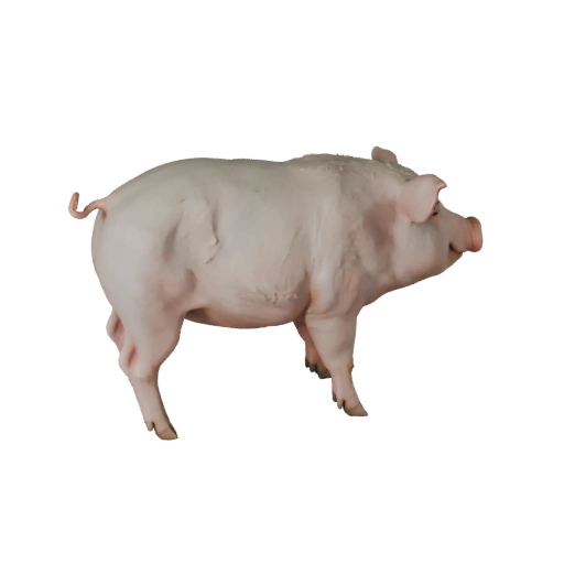 Modelo 3D de Cerdo para Blender - Asset PBR con Texturas | Libre de Regalías