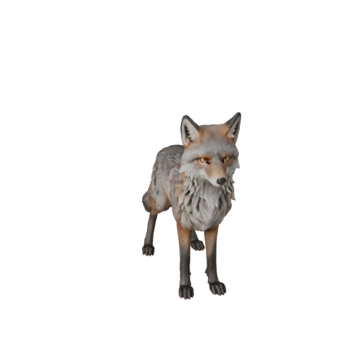 Gray Fox 3D Model for Blender - PBR Asset with Textures | PBR