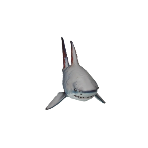 Hammerhead Shark 3D Model for Unity - Game Ready Asset, FBX