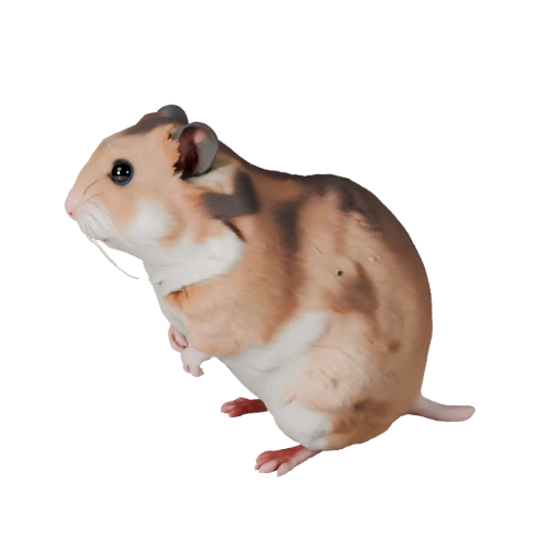 Modèle 3D de Hamster pour Blender - Asset PBR avec Textures | PBR