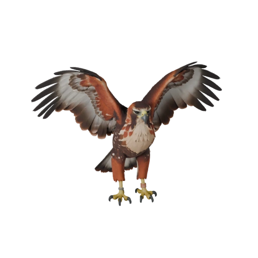 Red Tailed Hawk 3D Model for Unity - Game Ready Asset, FBX