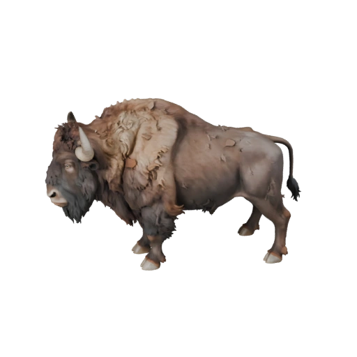 Bison 3D Model for Blender - PBR Asset with Textures | Royalty-Free
