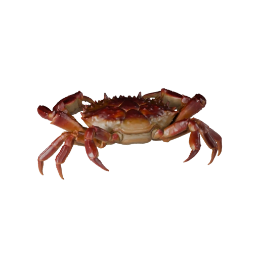 Realistic Crab 3D Model - Rigged PBR Asset for Games | Royalty-Free